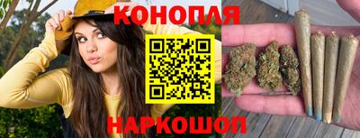 МДПВ Дубна