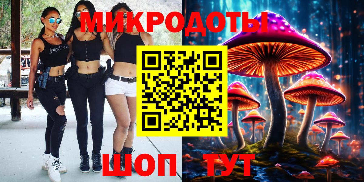 Псилоцибиновые грибы Psilocybe Малгобек